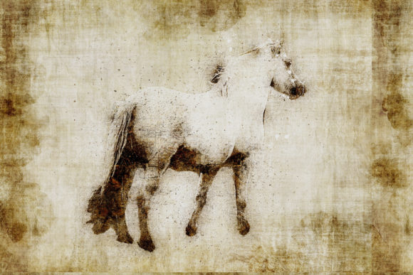 Decorative Animal Printables Pack 01: Your Instant Wall Art Solution