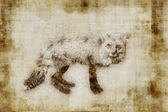 Decorative Animal Printables Pack 02: Instant Art for Any Space