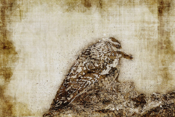 Decorative Animal Printables Pack 03: Instant Wall Art for Any Space