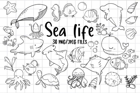 Sea Life Clipart: Ocean Animal PNG for Creative Projects